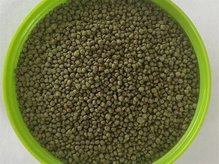 High Quality Shama Bird Food