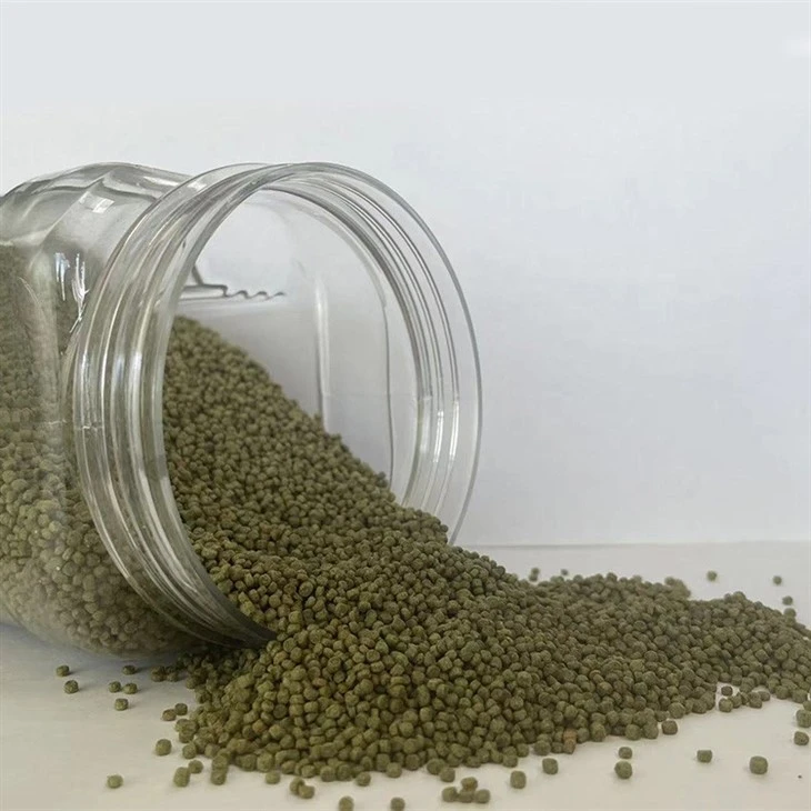 Shama Bird Food