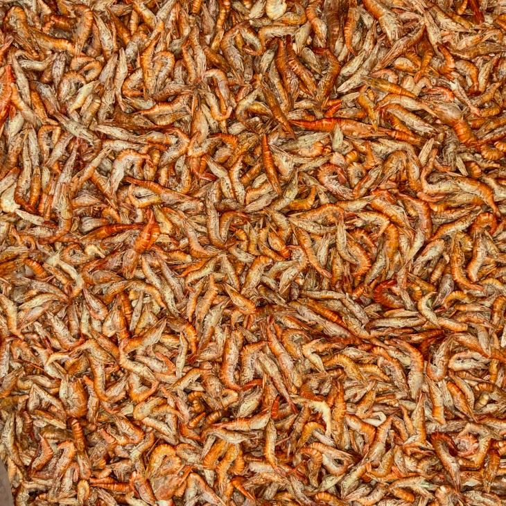 Dried Gammarus Dried Gammarus