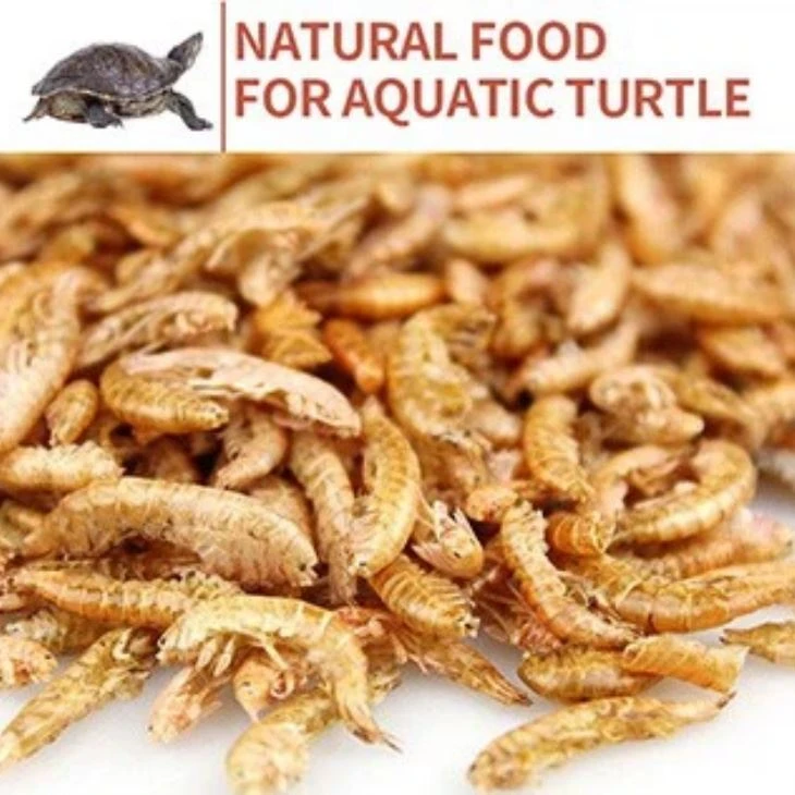 natural Dried Gammarus Shrimp natural Dried Gammarus Shrimp